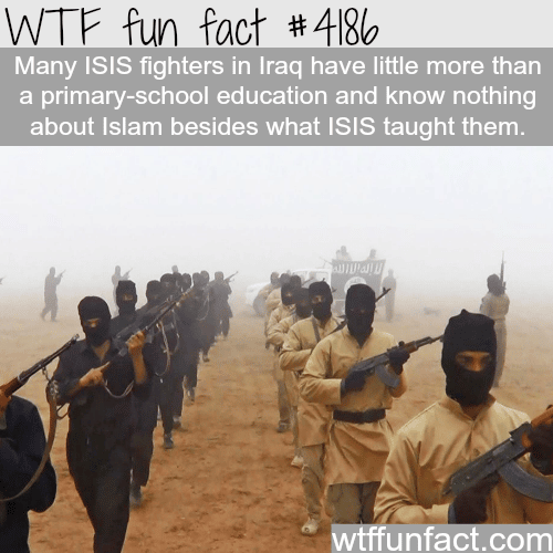 Terrorism has no religion -  WTF fun facts