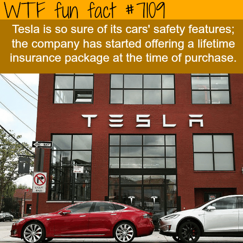 Tesla wants to offer lifetime insurance with the car purchase - WTF fun facts