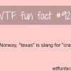 texas wtf fun fact