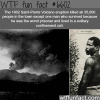 the 1902 saint pierre volcano eruption wtf fun