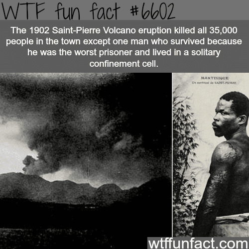 The 1902 Saint-Pierre Volcano eruption - WTF fun facts