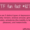 the 5 types of depression wtf fun facts