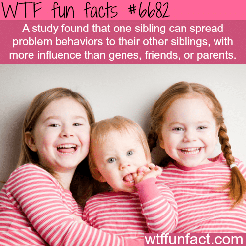 The affect of siblings - WTF fun fact