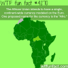 the african union currency afro wtf fun facts