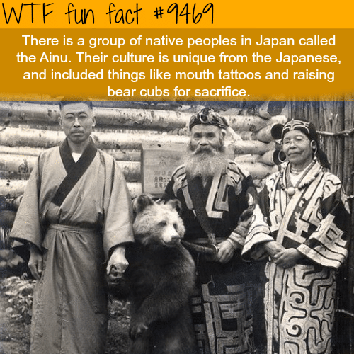 The Ainu People of Japan - WTF fun fact