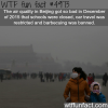 the air quality in beijing wtf fun facts