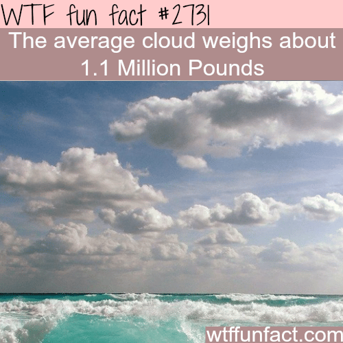 The average cloud weight - WTF fun facts