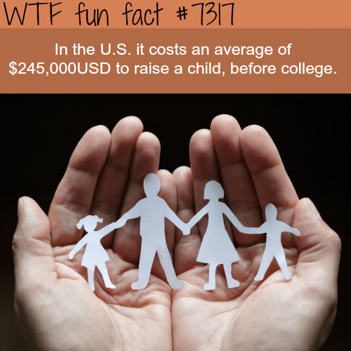 The average cost of raising a child - WTF fun fact