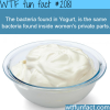 the bacteria found in yogurt