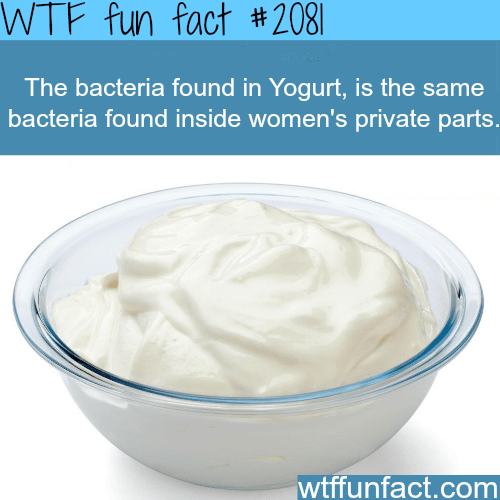 The bacteria found in Yogurt - WTF fun facts