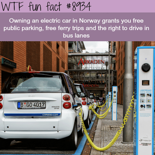 The Benefit Electric cars in Norway - WTF fun fact