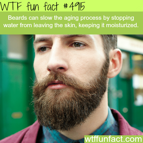 The benefits of beards - WTF fun facts  