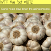 the benefits of garlic wtf fun facts