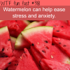 the benefits of watermelon