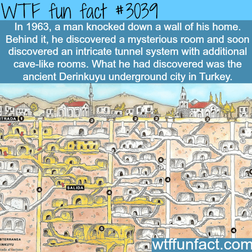 The best accidental discovery in the world -  WTF fun facts