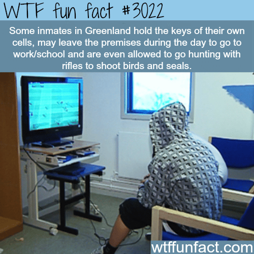 The best country to be a prisoner in -  WTF fun facts