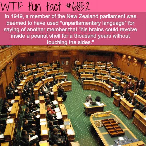 The best insults in the world - WTF fun fact