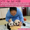 the best job in the world wtf fun facts