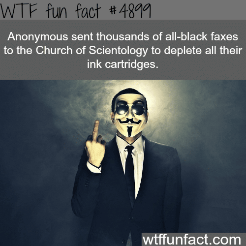 The best of Anonymous - WTF fun facts  
