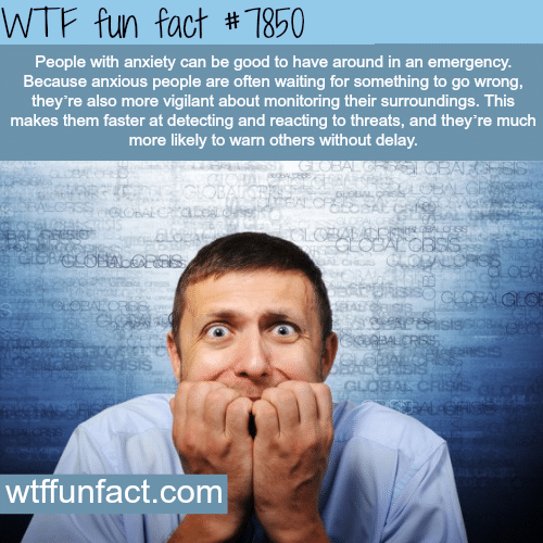 The best people to have around during an emergency - WTF fun facts