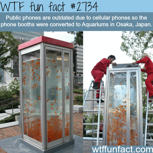 The best recycling ideas for cities - WTF fun facts