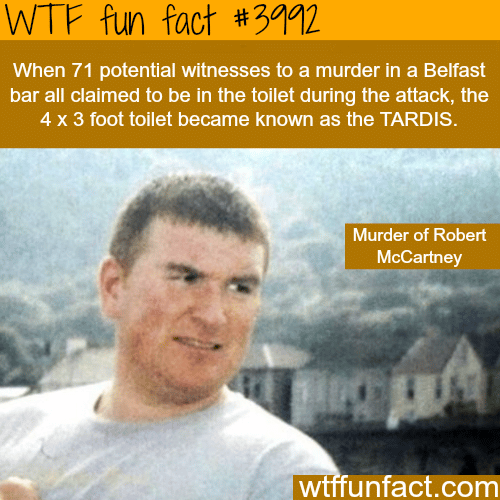 The biggest bathroom in the world - WTF fun facts