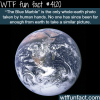 the blue marble wtf fun facts