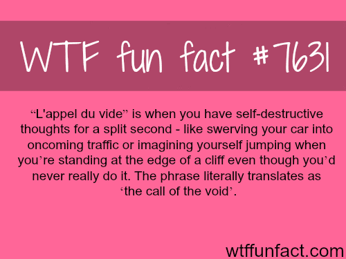 The call of the void - WTF fun facts
