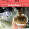 the cause of restaurant food poisonings wtf fun