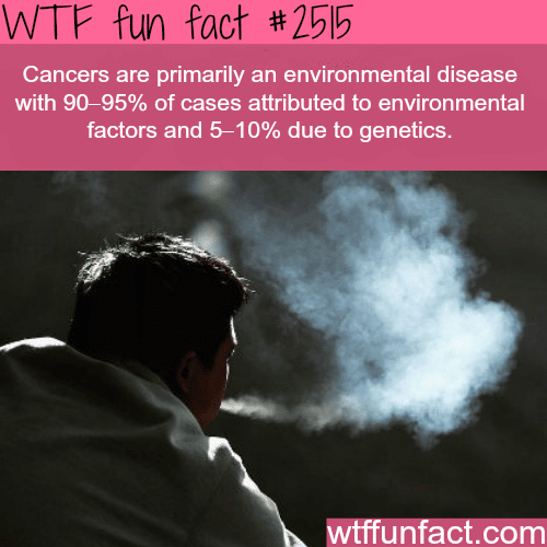 The Causes of cancer - WTF fun facts