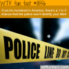 the chances of getting away with murder wtf fun