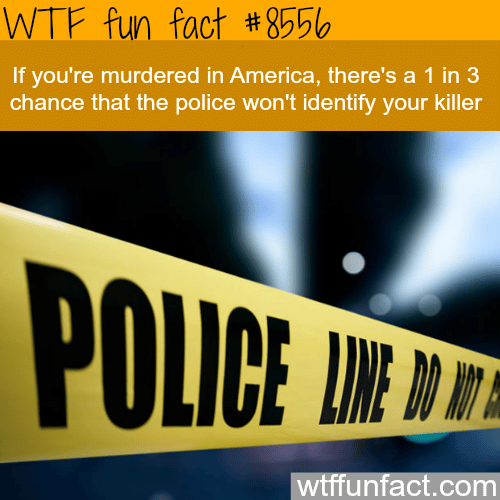 The chances of getting away with murder - WTF fun facts