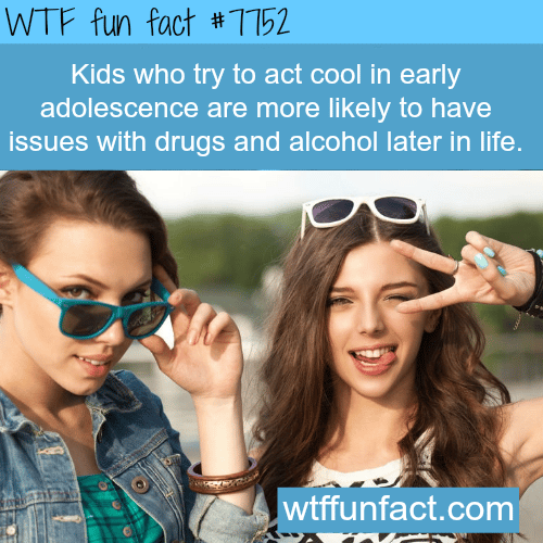 The cool kids - WTF fun fact