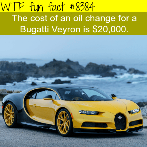 The cost Bugatti Veyron’s oil change - WTF fun facts