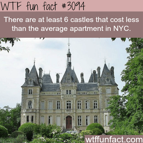 The cost of castle VS. the cost NYC apartment -  WTF fun facts