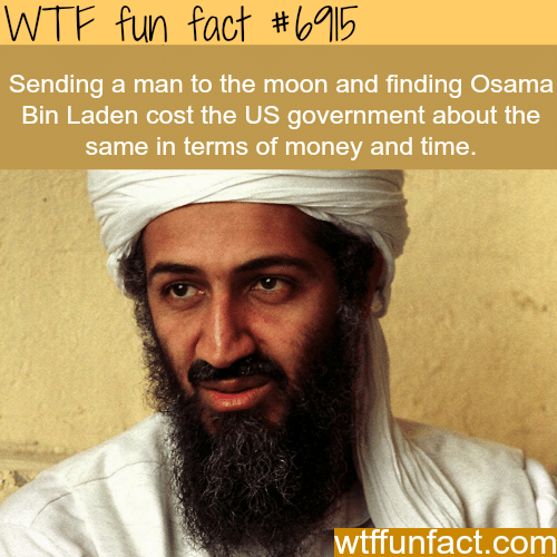 The cost of finding Osama bin Laden 
