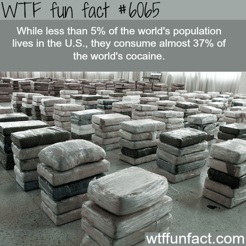 The country that consumes the most cocaine - WTF fun facts