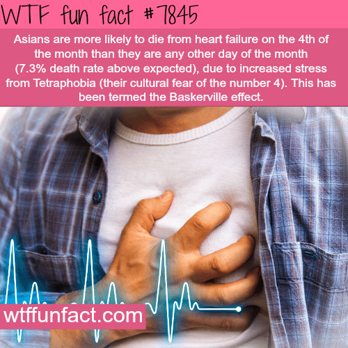 The cultural fear of number 4 in Asia - WTF fun facts
