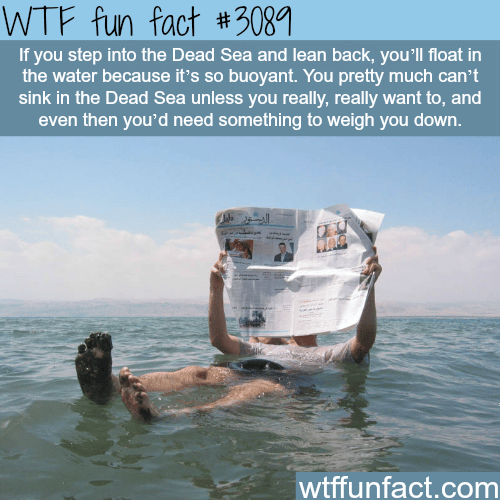 The dead sea facts -  WTF fun facts
