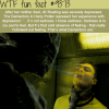 the dementors in harry potter wtf fun facts