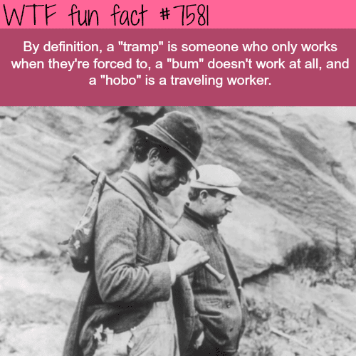 The difference between “hobo” and “Bum” - WTF fun facts