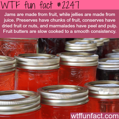 The difference between Jams and Jellies - WTF fun facts