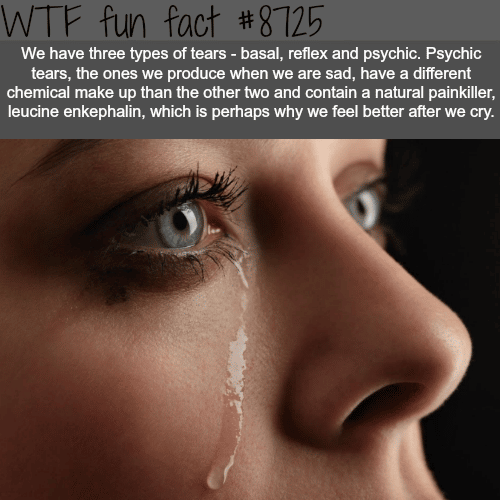 The different kind of tears - WTF fun facts