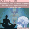 the effect of meditation on the brain wtf fun