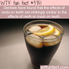 the effects of soda on teeth wtf fun facts