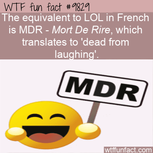 The equivalent to LOL in French is MDR - Mort De Rire