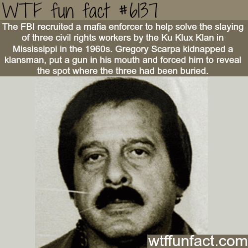 The FBI hired a mafia member - WTF fun facts