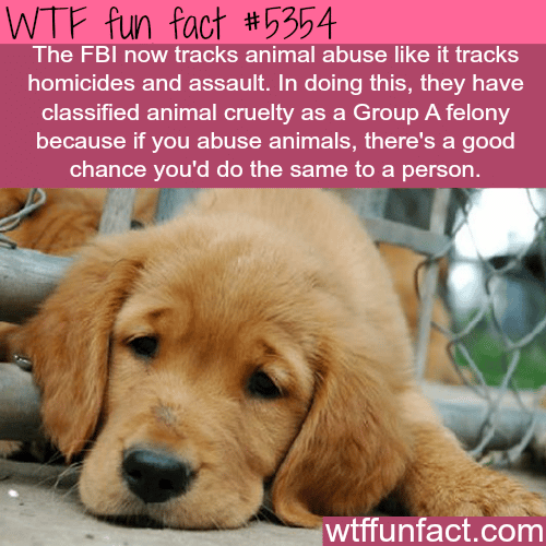 The FBI now tracks animal abuse - WTF fun facts