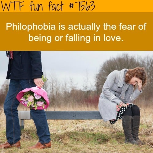 The fear of falling in love - WTF fun facts