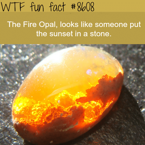 The Fire Opal - WTF fun facts